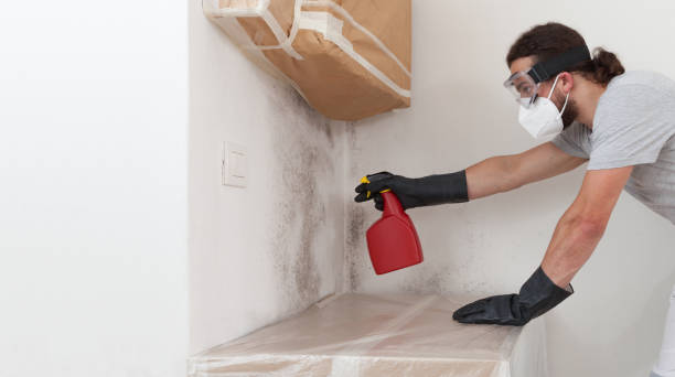 Professional Bathroom Mold Removal technician working in Shakopee, MN