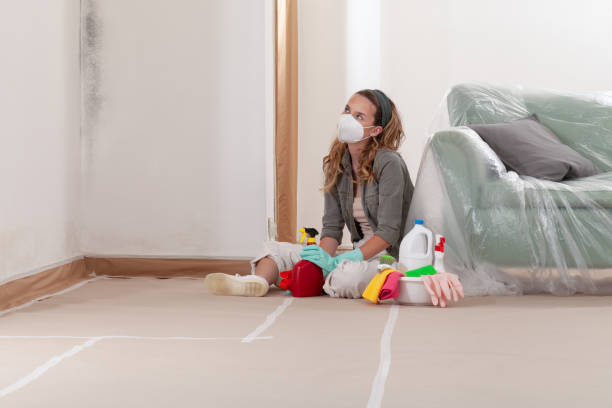 Reliable Bathroom Mold Removal contractor in Shakopee, MN by WQB Mold Removal